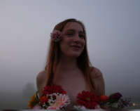 dask profil billede