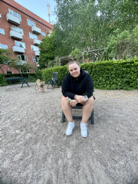dask profil billede