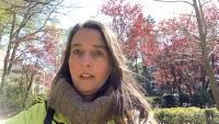 dask profil billede
